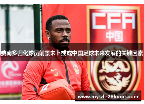 费南多归化球员前景未卜或成中国足球未来发展的关键因素 费南多归化球员前景未卜或成中国足球未来发展的关键因素