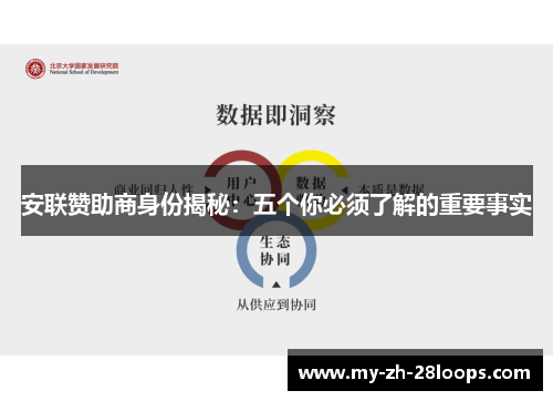 安联赞助商身份揭秘:五个你必须了解的重要事实 安联赞助商身份揭秘:五个你必须了解的重要事实