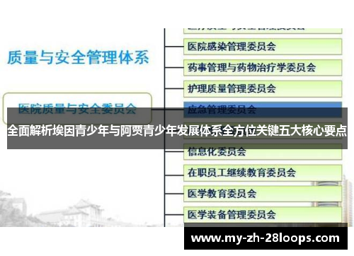 全面解析埃因青少年与阿贾青少年发展体系全方位关键五大核心要点 全面解析埃因青少年与阿贾青少年发展体系全方位关键五大核心要点